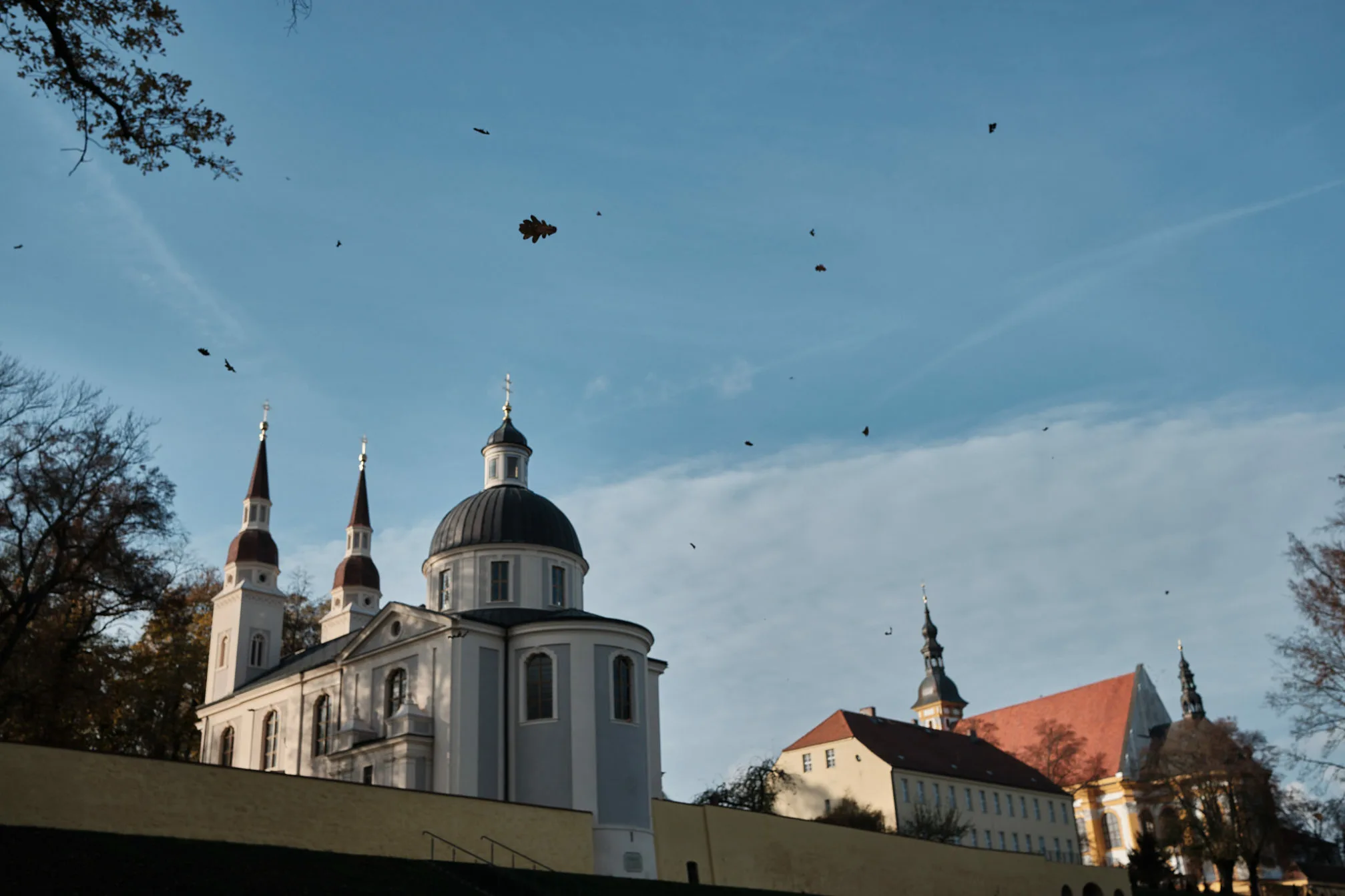 Oak leaves flying over the Neuzelle cloister