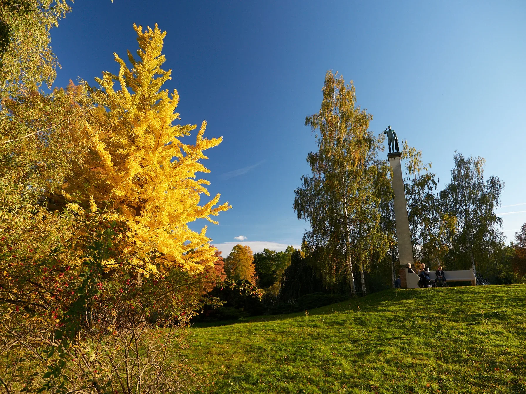 Autumnal colourful trees in Potsdam